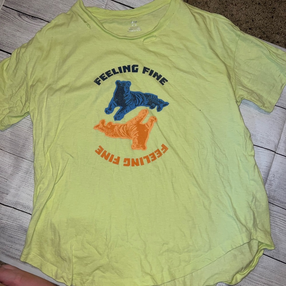 🍁🍃🍂Aerie feeling fine graphic destroyed t-shirt - Picture 6 of 6